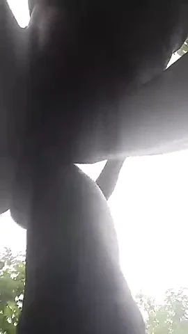 Delhi ka gandu outdoor fuck by labour part 2