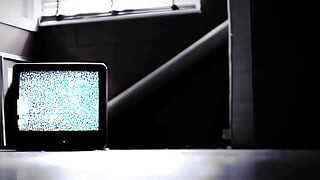 DARING - ORRANGE MEDIA