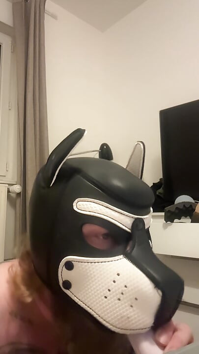 Alexov pas sluša i puši