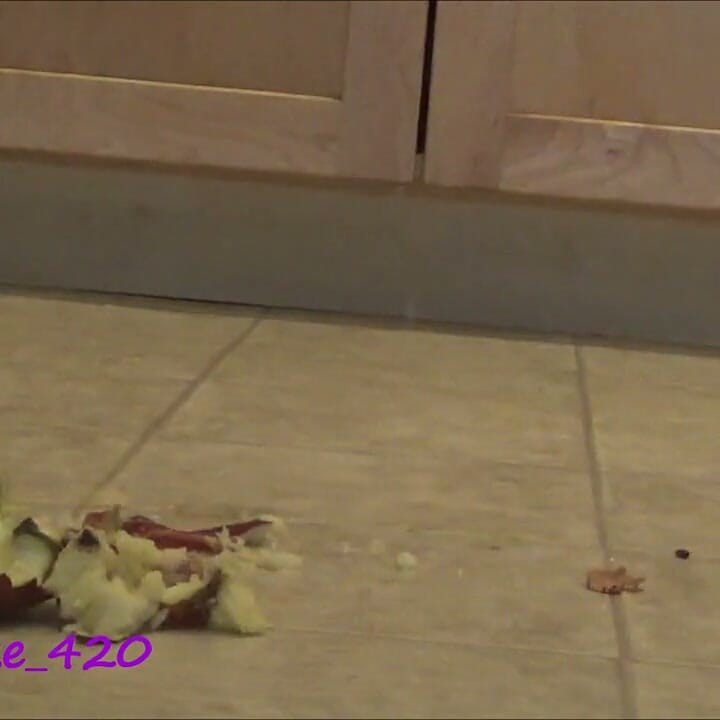 Fruit Crushed by High Heels