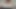 Fetcon '25:Jayf33t ダブルチーム