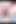 Girl Masturbating with Sex Toy
