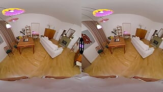 TMW VR Net