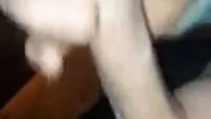 azgın horoz