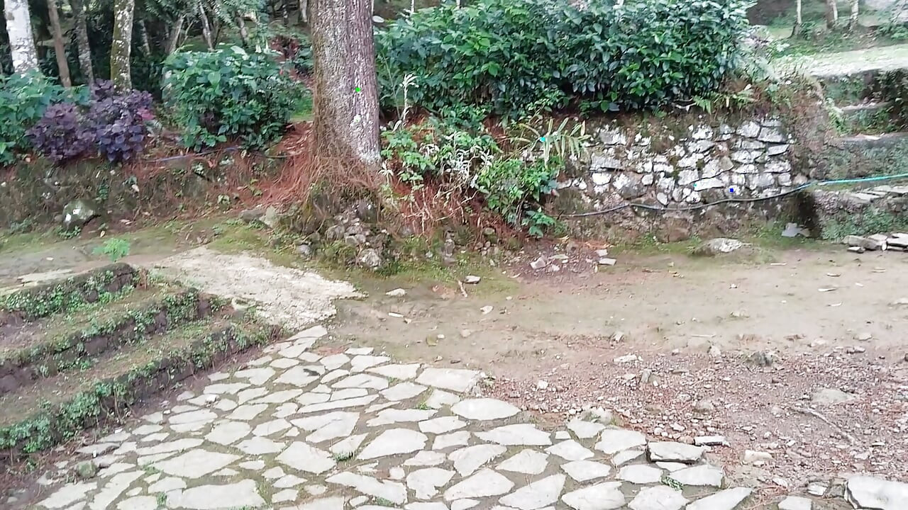 Walking to natural tourist attractions peeing in public toilets