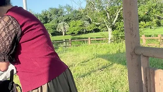No291 Gündüz Maruz Kalma Bisiklet