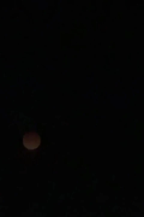 Backseat Action 4 (bsa4) Lunar Eclipse