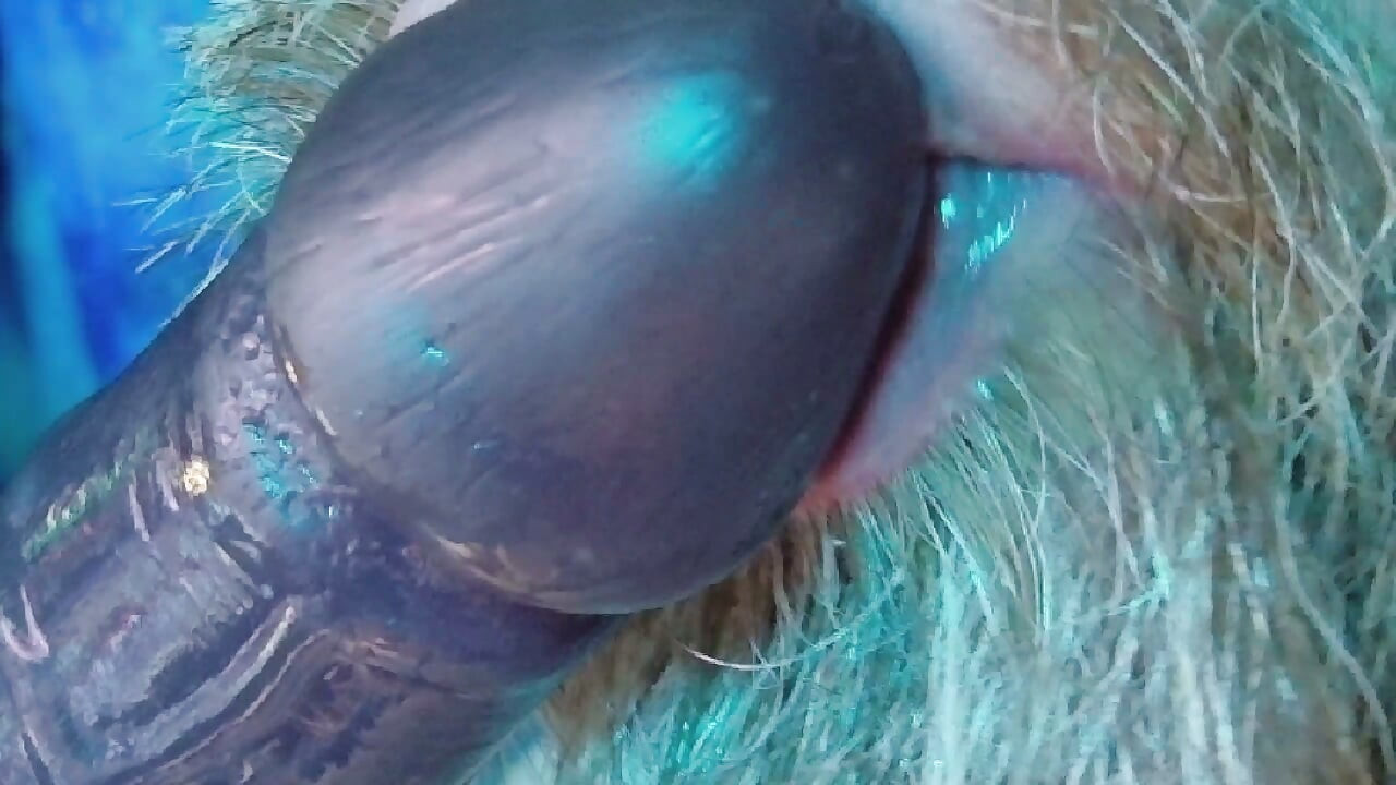 Daddy Learns To Suck Dick Part 2