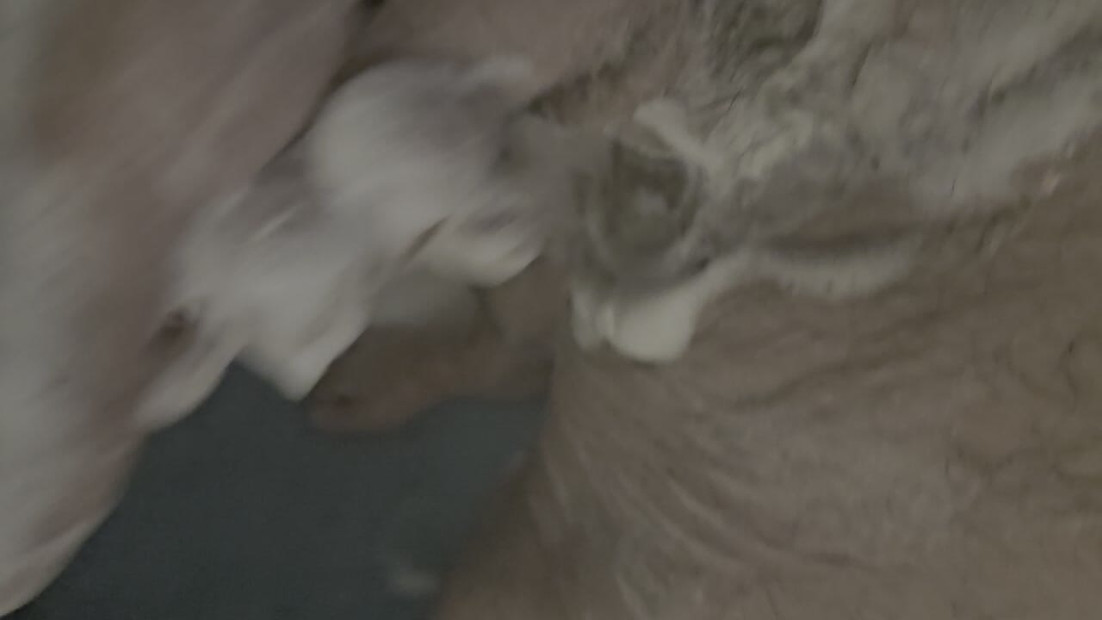 Suds