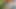 Sokakta sikişirken yakalandı. Açık havada seks Hintli köylü kız erkek arkadaşıyla sert sikişiyor xxx video
