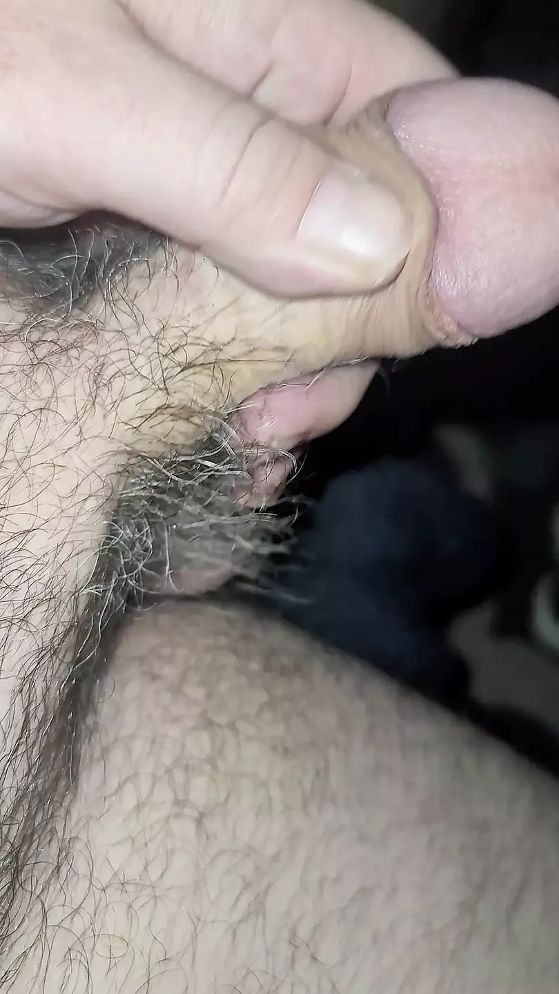 Cock