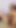 Olgun kıllı amına 3 dildo sokuyor