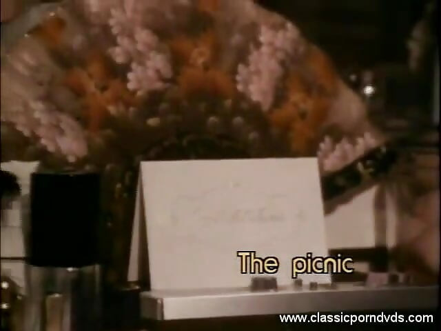 Classic Porn Dvds: Marilyn Chambers' Private Fant