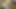 DVDストアでのクイックセックス