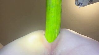 14 pulgadas de pepino anal