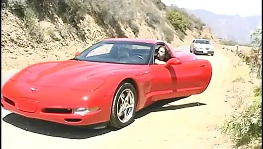 Милая крошка-блондинка наслаждается сосать и отсасывать жесткий член, прежде чем попасть внутрь