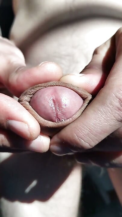 Suck My Dick