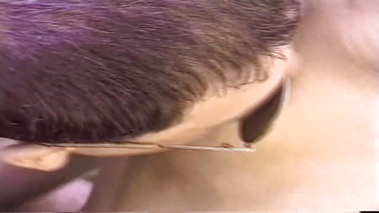 Transeksüel kalp zonkluyor