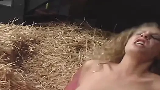 Blonde füchsin weit gedehnt in der scheune, doggystyleing