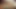 BLACK4K. Ethiopian penis intrudes into the tight pussy