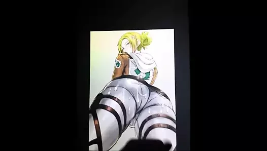 Titan sop'a saldırı - annie leonhardt