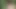 Alyssa milano ve peter kuzey tam sürüm