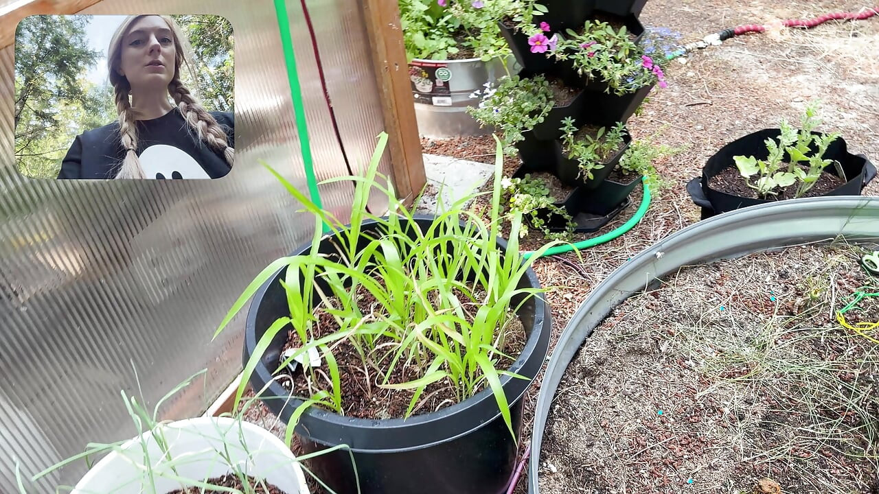 Moving My Plants Indoors