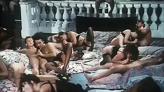 Big black cock in hairy pussy in ass...cum in mouth