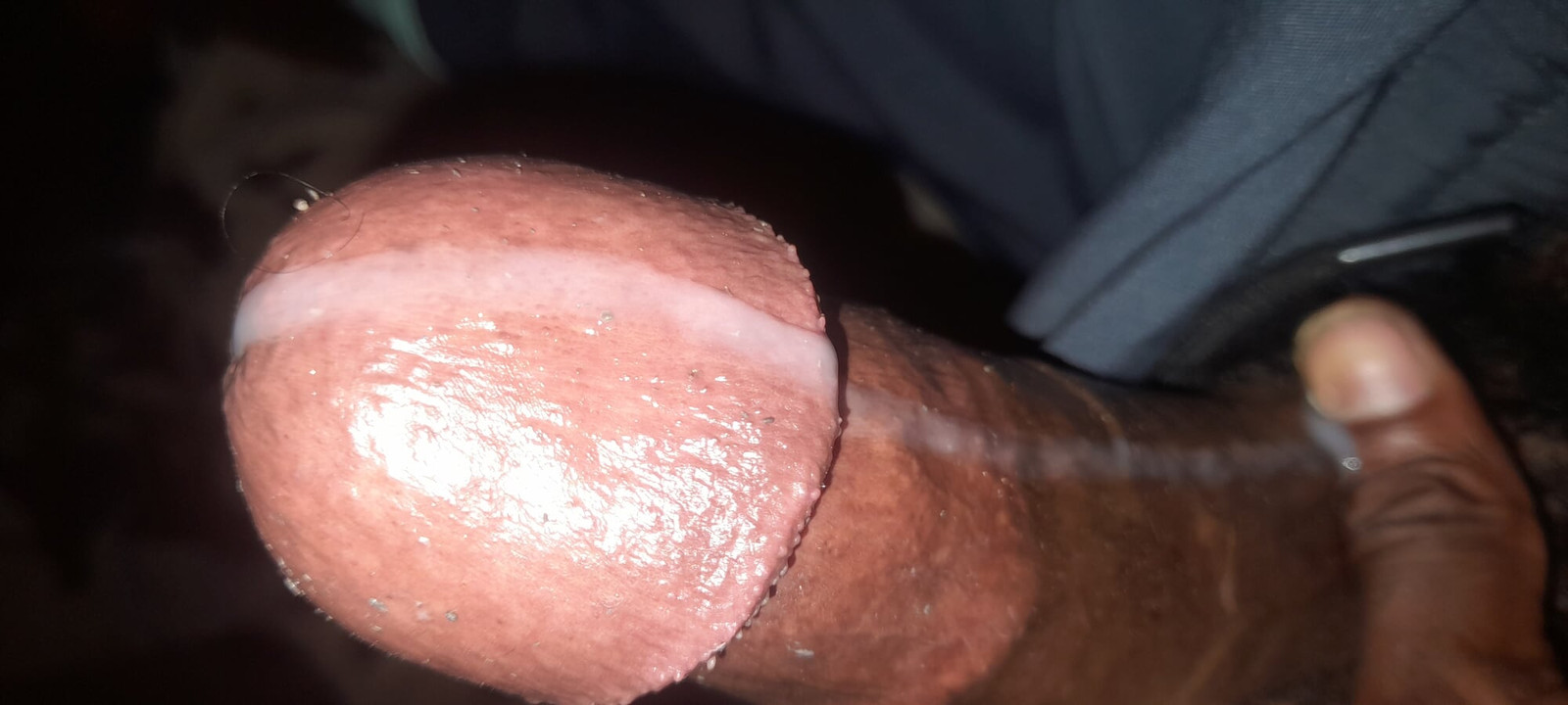 Najljepši penis prevladava