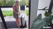 Pregled videozapisa