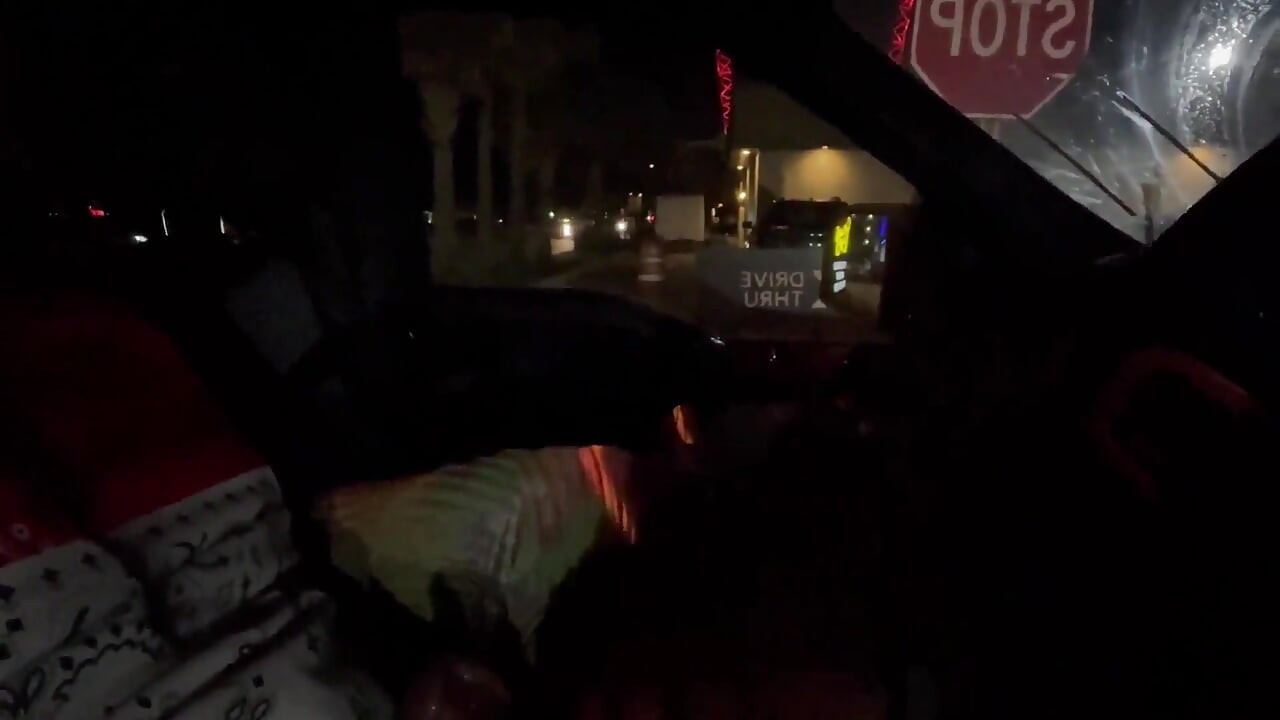 Quick Blowjob in the Car