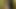 camshow中的美人妖