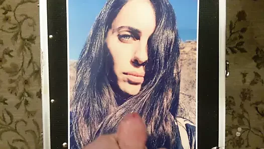Dürüst hila klein haraç 1