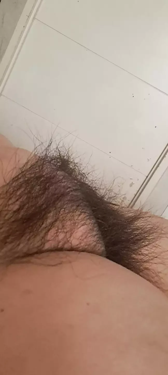 情人记录我毛茸茸的阴户，这让他很感动