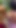 Epic moment from "Perverted elderly musician fucks a beautiful busty peasant girl in the woods outdoors"