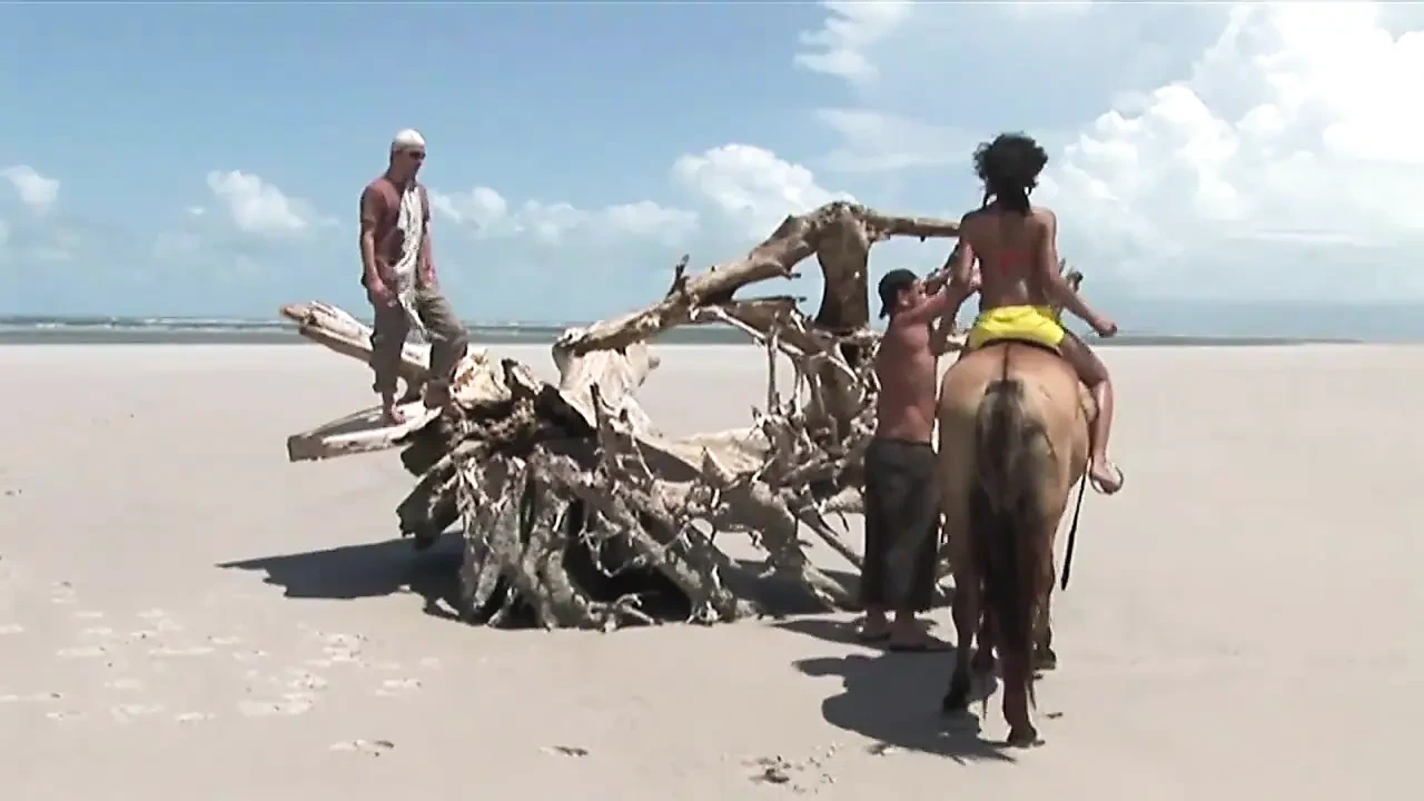 巴西女郎 - （电影）