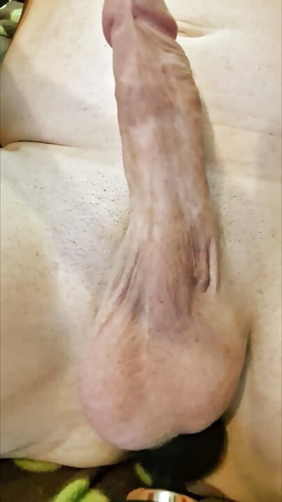 Hard, hot cock cumming with vibration