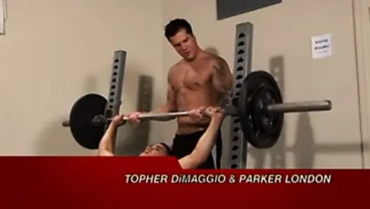 Topher Dimaggio Tops at Gym