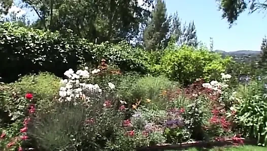 Busty Blonde MILF Rides Hard Cock Outdoors Passionately