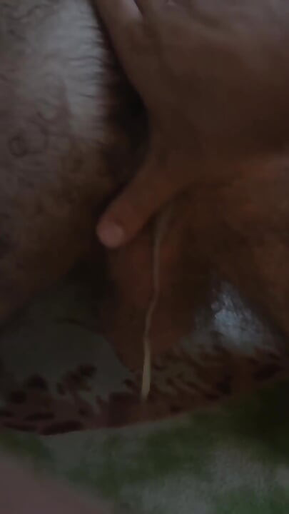 Șarjă de spermă de 5 zile