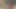 Seksi bir striptizci gevşek küçük yarağıyla hayal kırıklığına uğradı