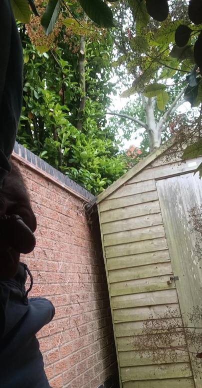 Plus de pisse dans le jardin.