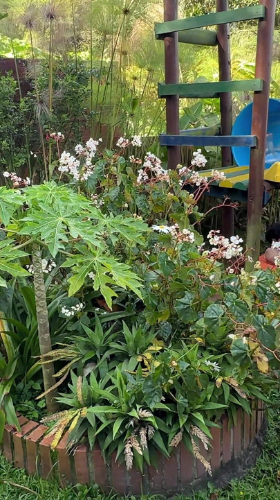 Mijn huis tuinman ziet me masturberen en wordt geil, dus besluit ik hem te plezieren door me zijn enorme pik in te laten steken.