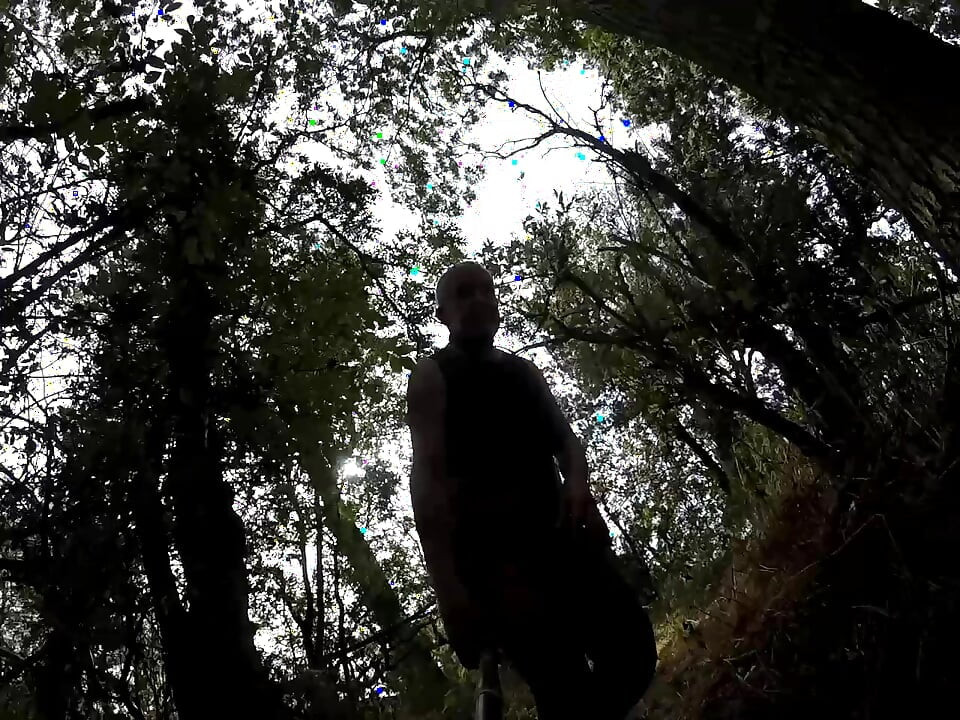 Part 2 Walk 67