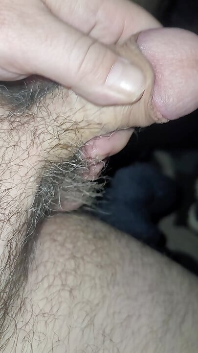Cock