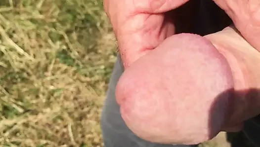 Açık horoz yumuşak için sert