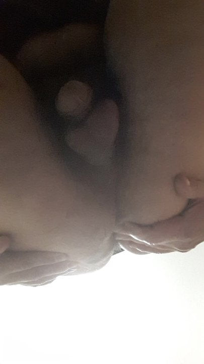 당나귀