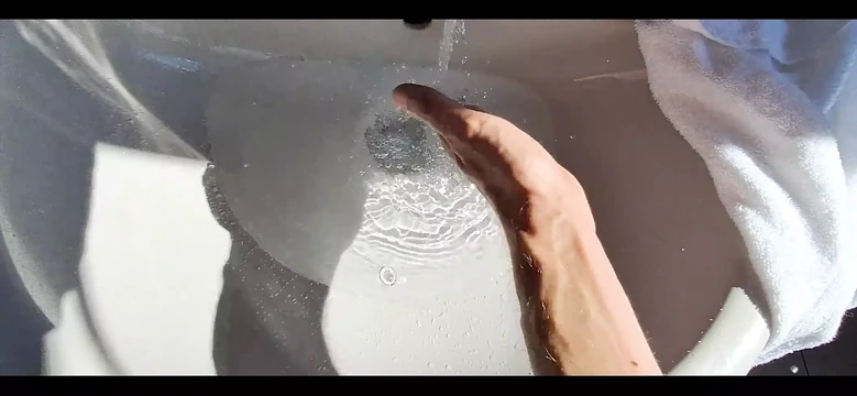 Dreamofevolutionvip - Latex Cleaning with Begloss#1 - 1000045265 - Sep 19, 2024