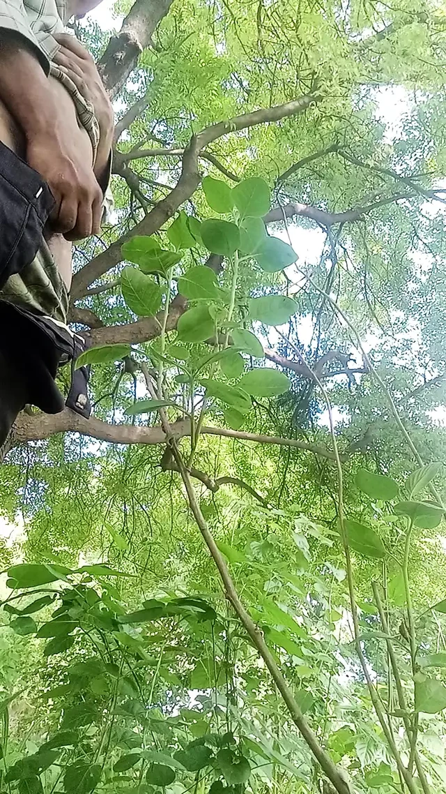 Purani hweali