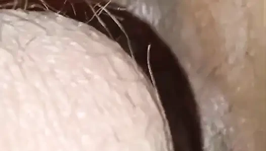 Mengisap shell dan close-up